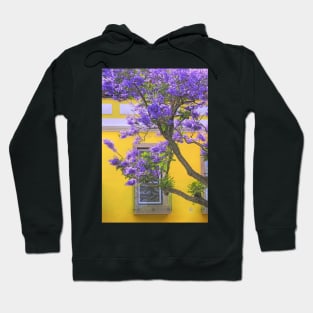 jacaranda Hoodie